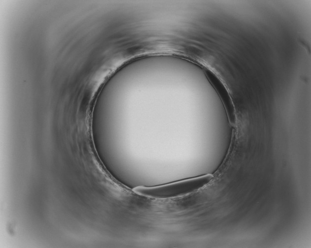X0000102271477200808011416
