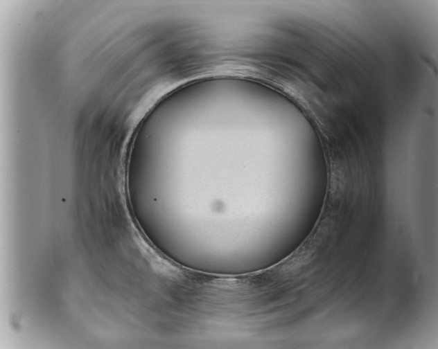 X0000102271478200808011416