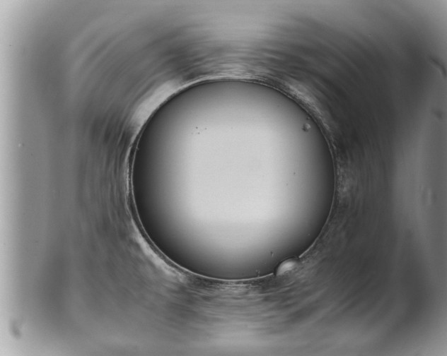 X0000102271479200808011416