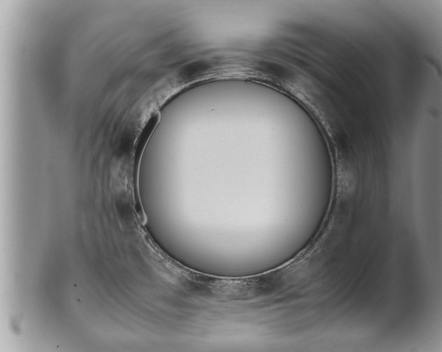 X0000102271481200808011416