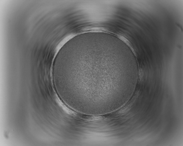 X0000102271482200808011416