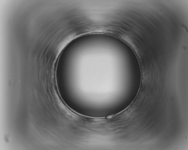 X0000102271483200808011416