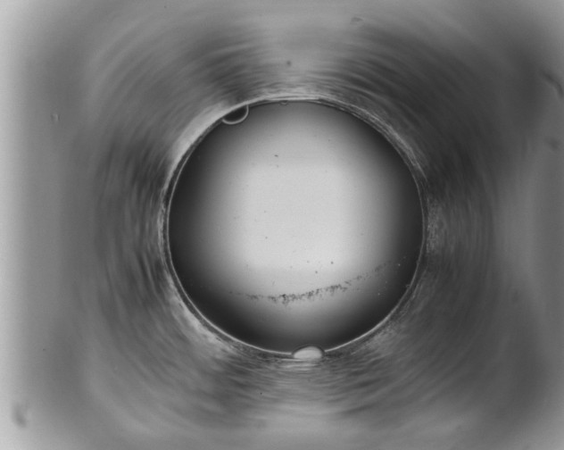 X0000102271484200808011416