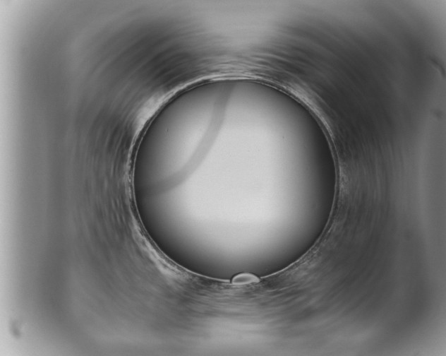 X0000102271485200808011416