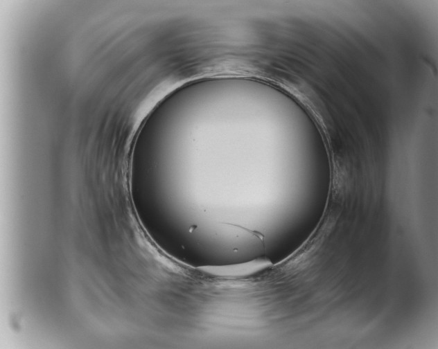 X0000102271486200808011416