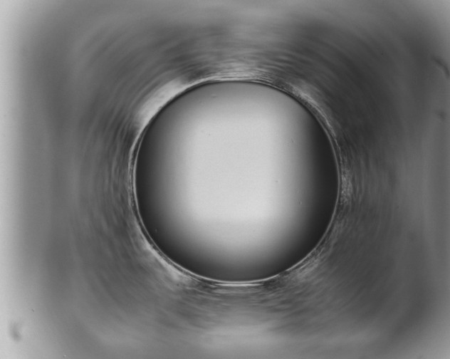 X0000102271487200808011416