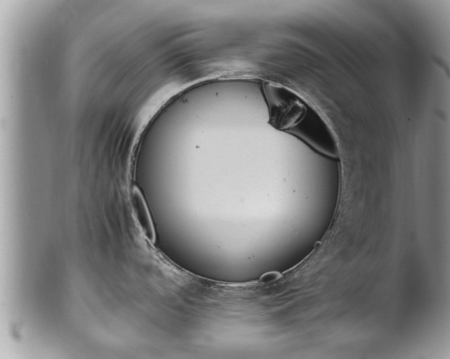 X0000102271488200808011416