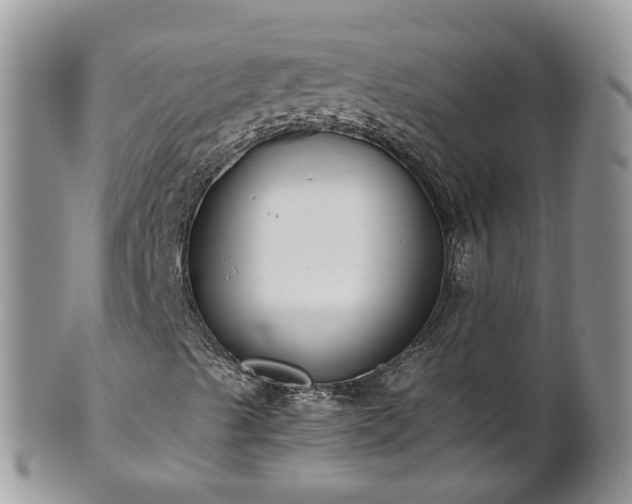 X0000102271489200808011415