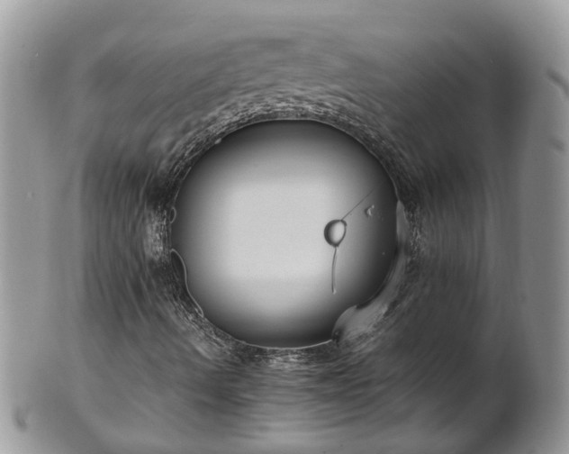 X0000102271490200808011415