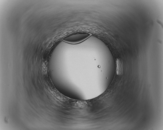 X0000102271491200808011415