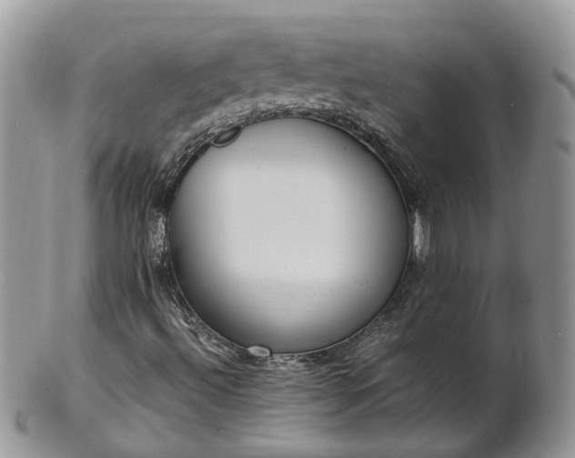 X0000102271492200808011415