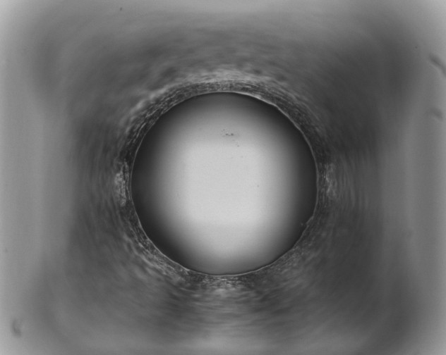 X0000102271493200808011415