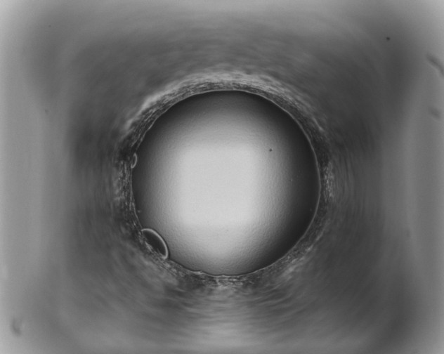 X0000102271494200808011415