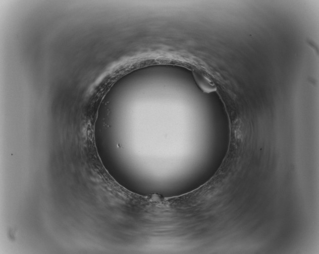 X0000102271495200808011415