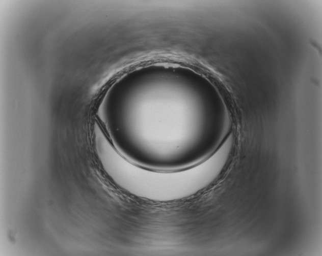 X0000102271496200808011415