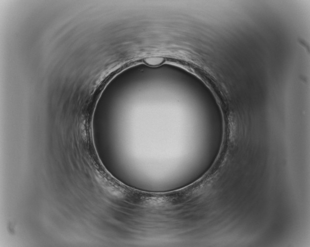 X0000102271497200808011415