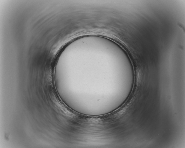 X0000102271498200808011416