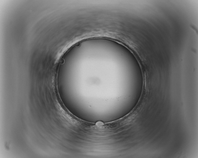 X0000102271500200808011416