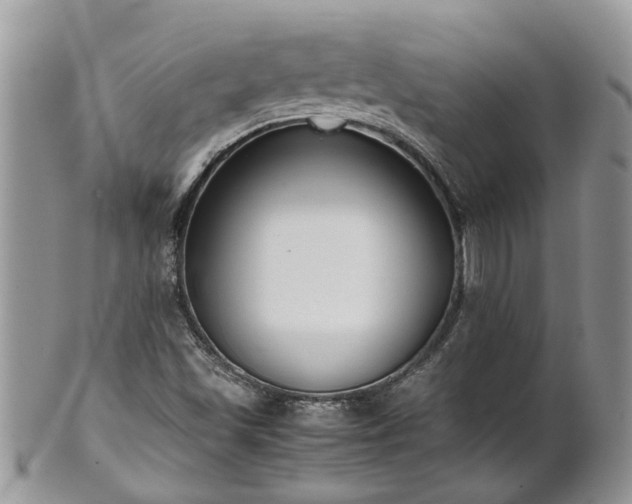 X0000102271501200808011416