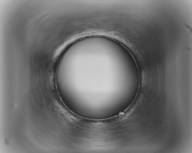 X0000102271502200808011416