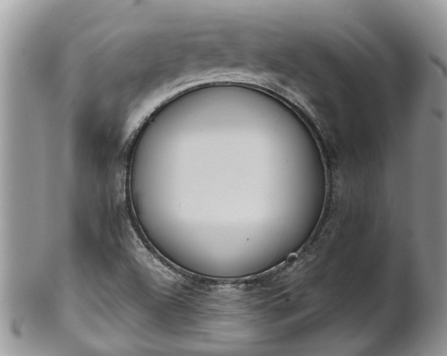 X0000102271504200808011416