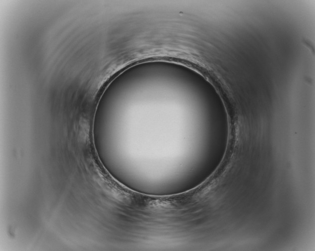 X0000102271505200808011416