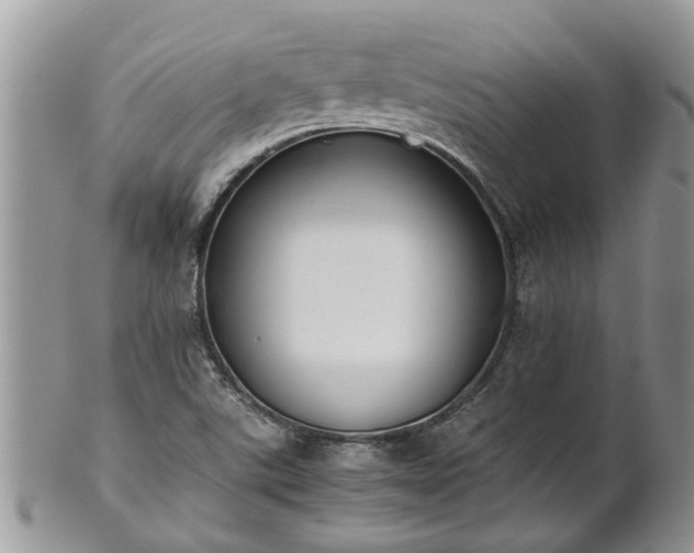 X0000102271507200808011416