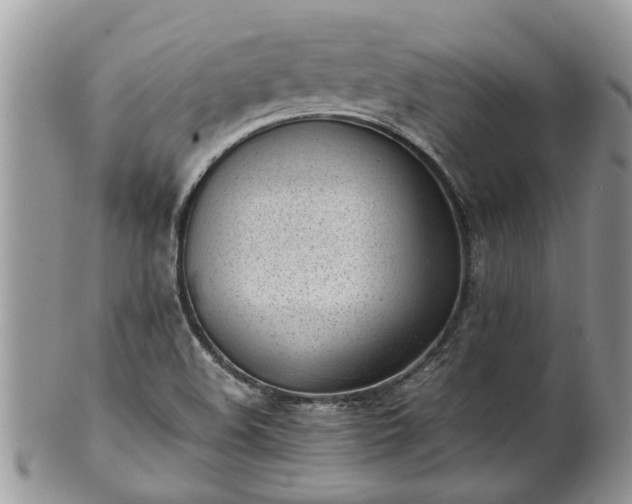 X0000102271508200808011416