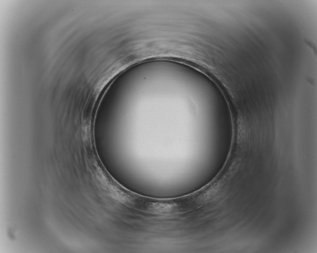 X0000102271513200808011416