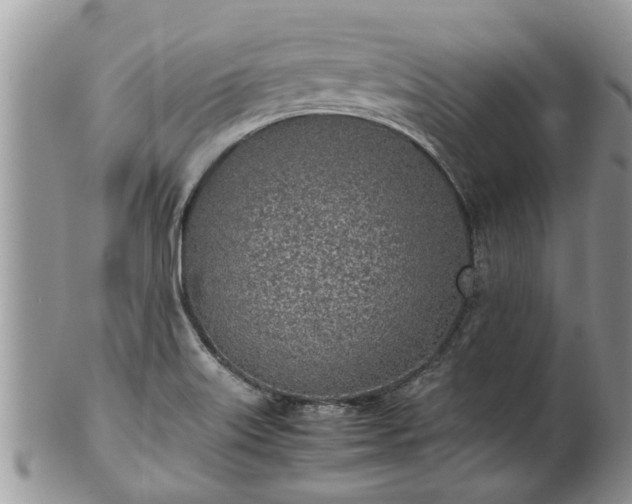X0000102271515200808011416
