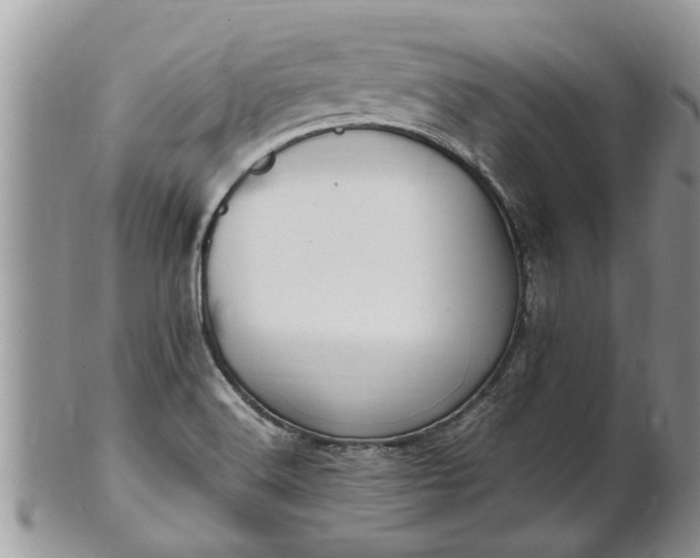X0000102271516200808011416