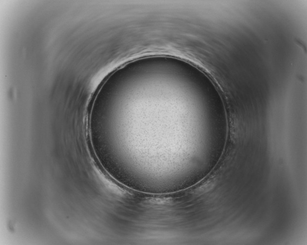 X0000102271519200808011416