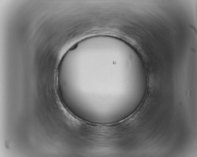 X0000102271520200808011416