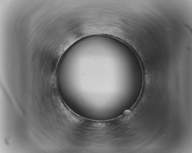 X0000102271521200808011416