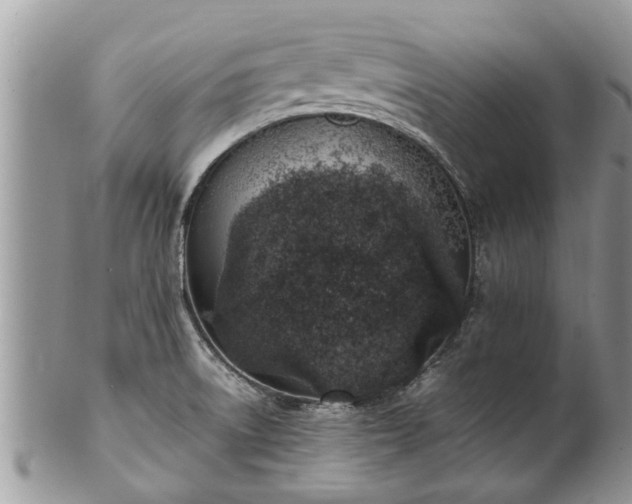 X0000102271522200808011416