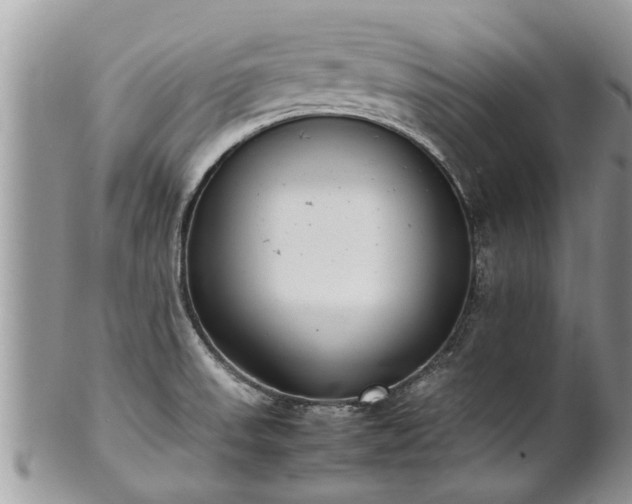 X0000102271523200808011416