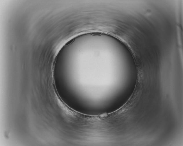 X0000102271524200808011416