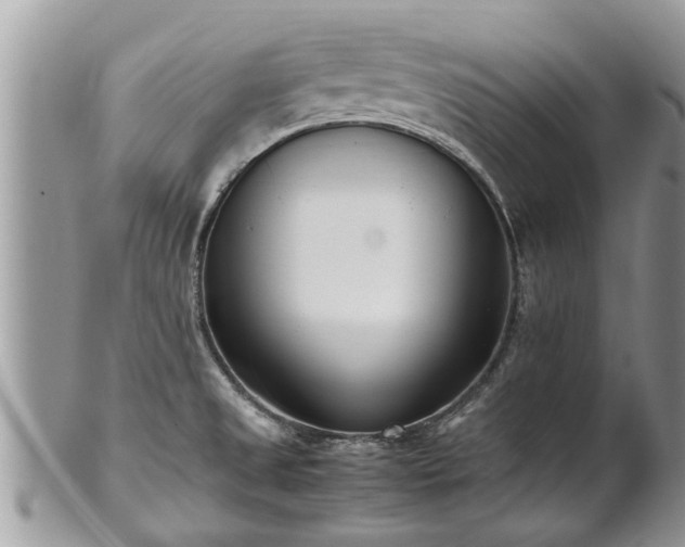 X0000102271525200808011416