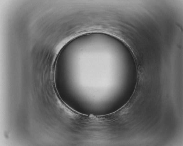 X0000102271527200808011416