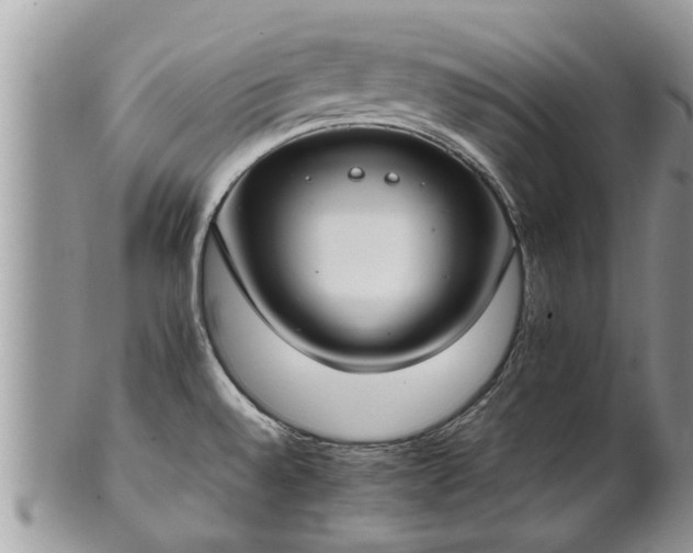 X0000102271528200808011416