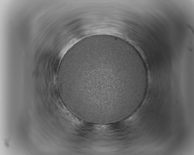 X0000102271529200808011416