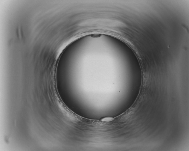 X0000102271530200808011416