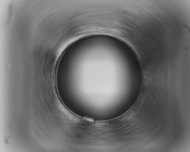 X0000102271531200808011416