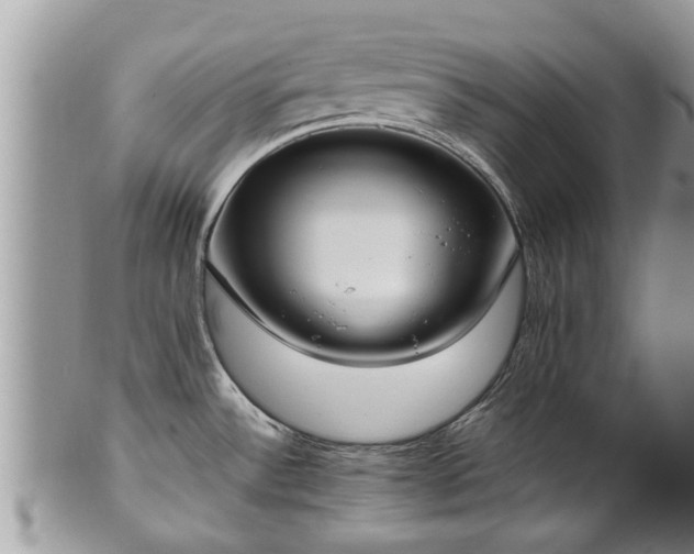 X0000102271532200808011416
