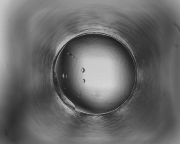 X0000102271533200808011416