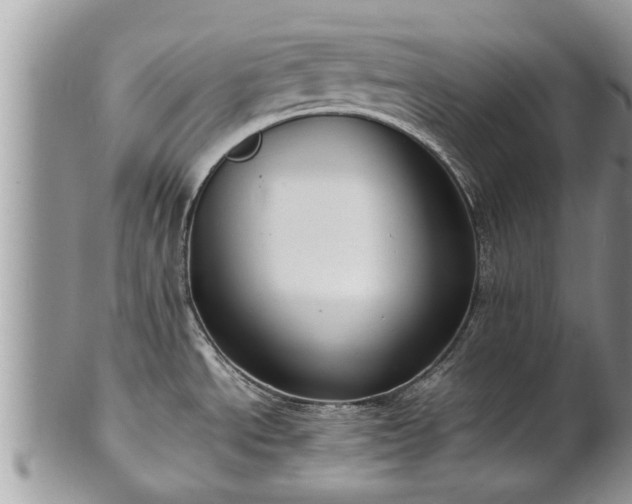 X0000102271534200808011416