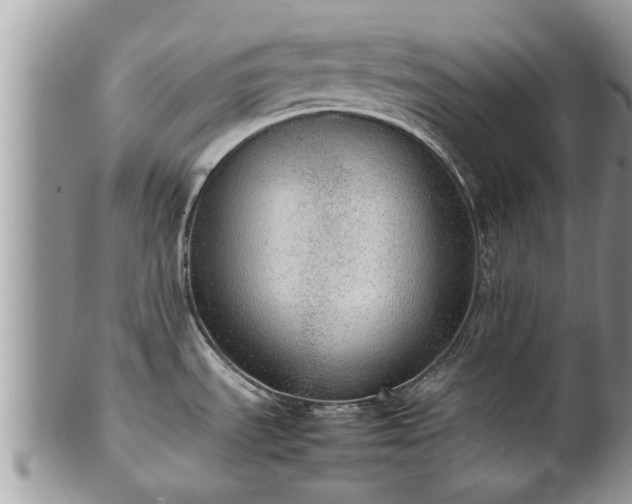 X0000102271535200808011416