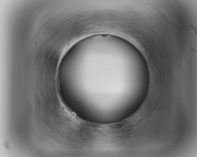 X0000102271536200808011416