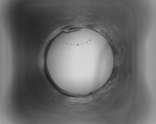 X0000102270005200808081450