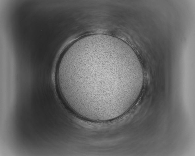 X0000102270006200808081450